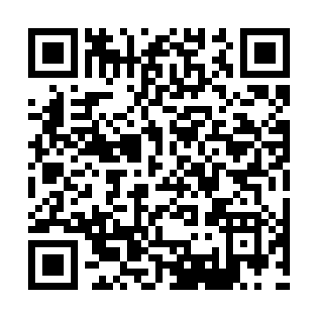 QR code for X302H