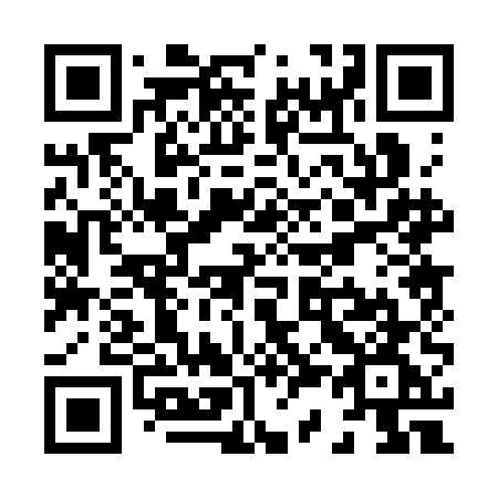 QR code for X303EG