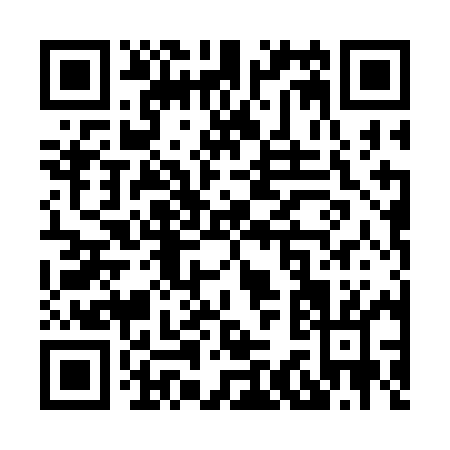 QR code for X303M