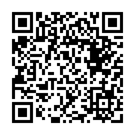 QR code for X306P