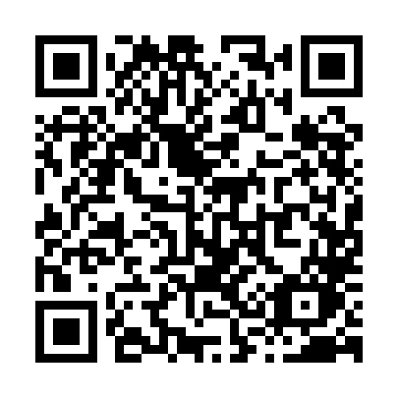 QR code for X31 1LO
