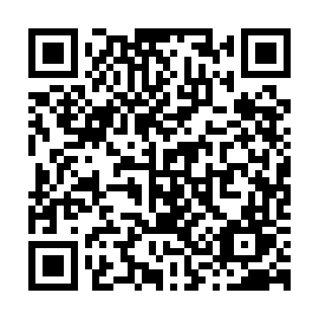 QR code for X311FT