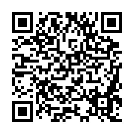 QR code for X313M
