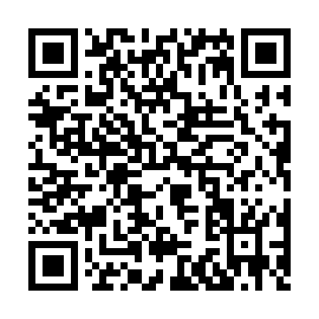 QR code for X313O