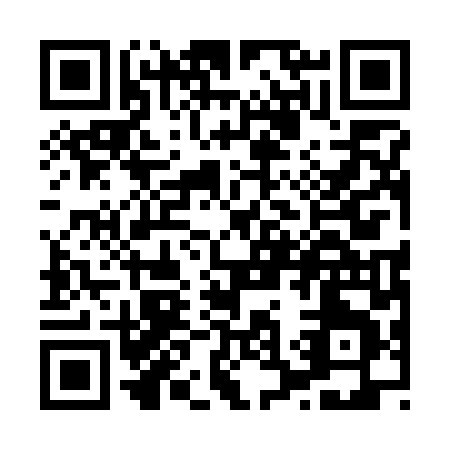 QR code for X317L