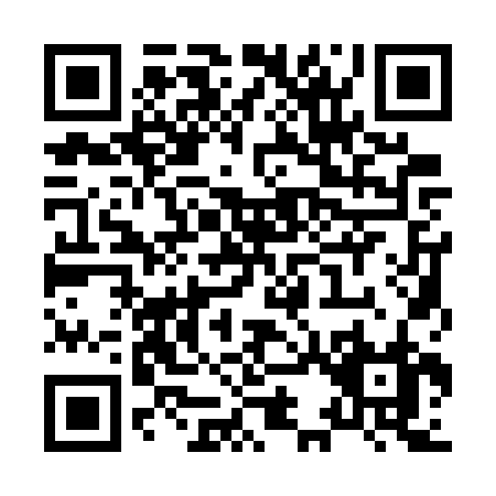 QR code for X317R