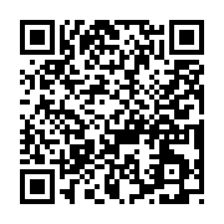 QR code for X335C