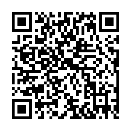 QR code for X335Z