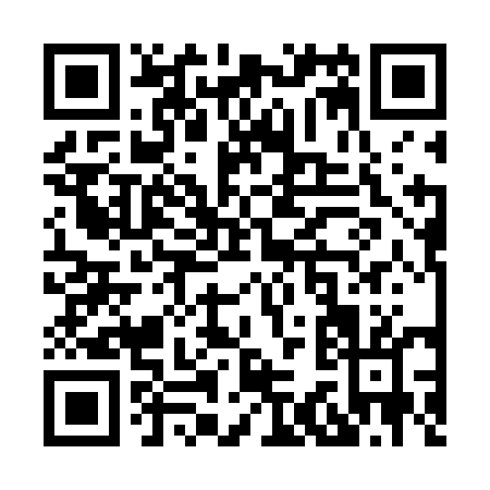 QR code for X336E