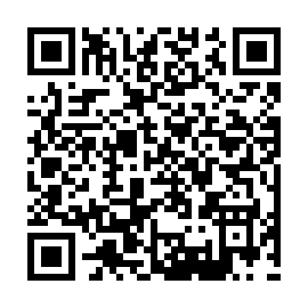 QR code for X336K