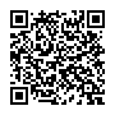 QR code for X336QD