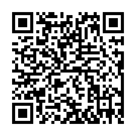 QR code for X338H