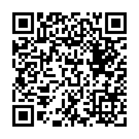 QR code for X339B