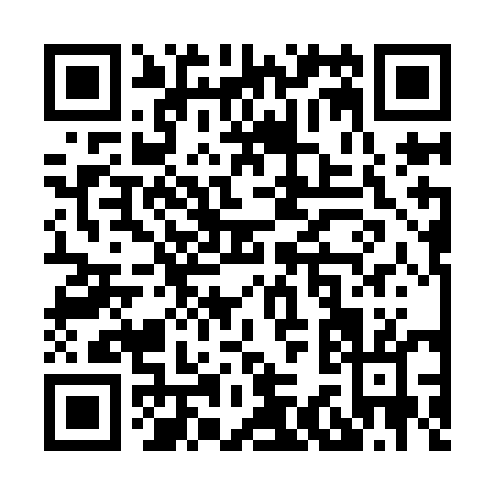 QR code for X339E