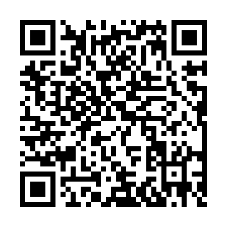 QR code for X339Q