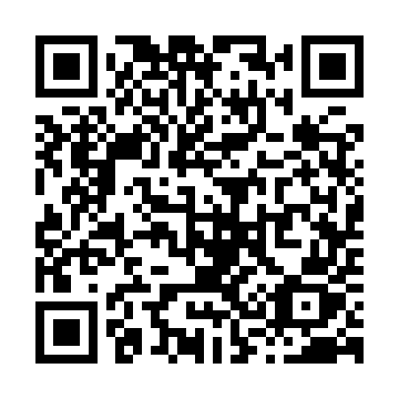 QR code for X339UZ