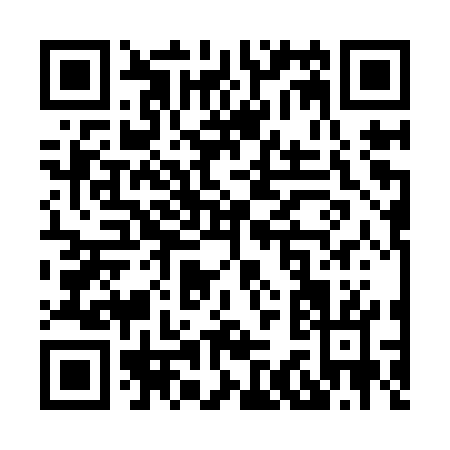 QR code for X339W