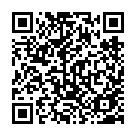 QR code for plate X36 6HE