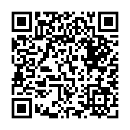 QR code for X376L