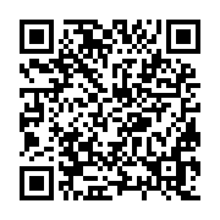 QR code for X379IN