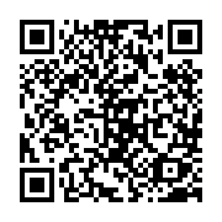 QR code for X38 0MY