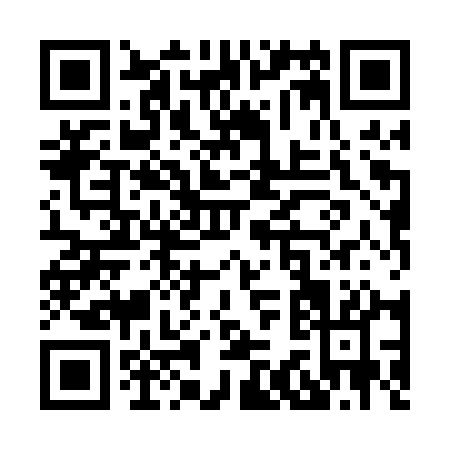 QR code for X380Q