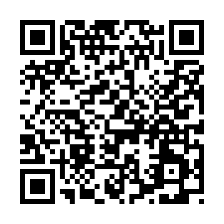 QR code for X381N
