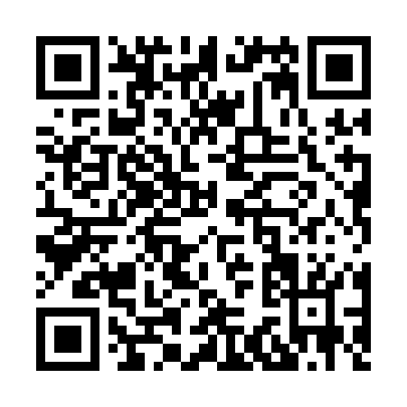 QR code for X381O