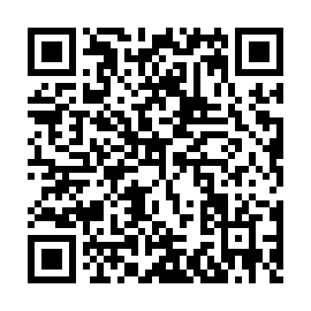QR code for X381Z