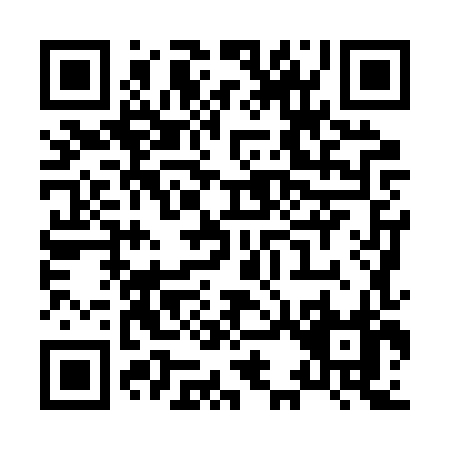 QR code for X382X