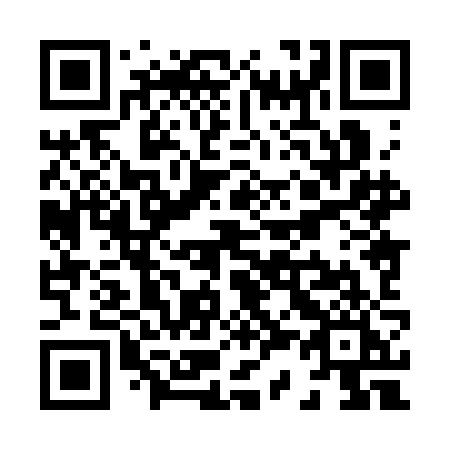 QR code for X383JI