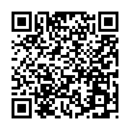 QR code for X384V