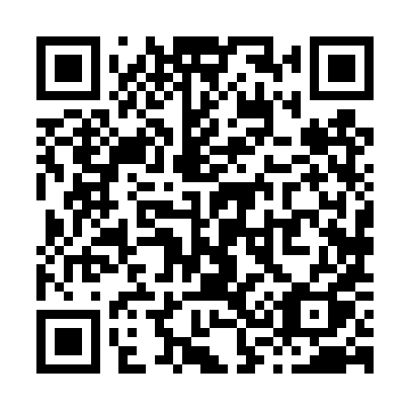 QR code for plate X38 4XQ