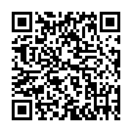 QR code for X386K