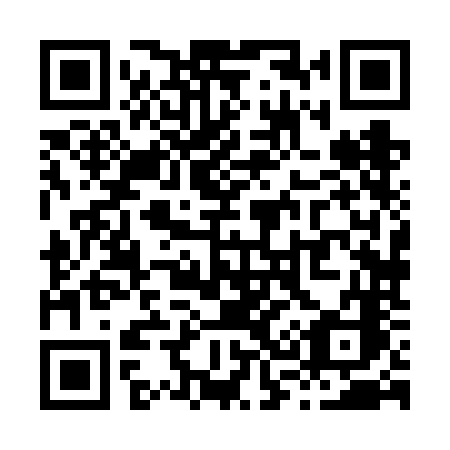 QR code for plate X38 6NC