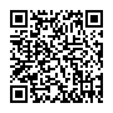 QR code for X387D