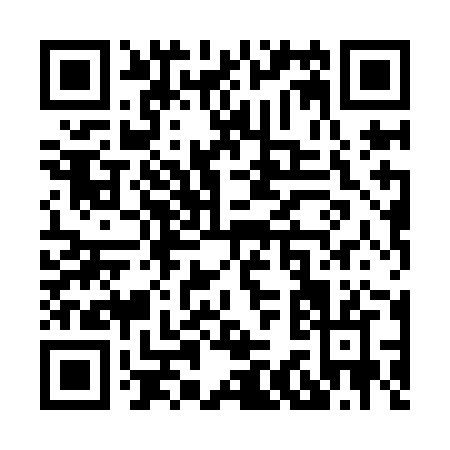 QR code for X389J
