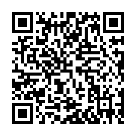 QR code for X389N
