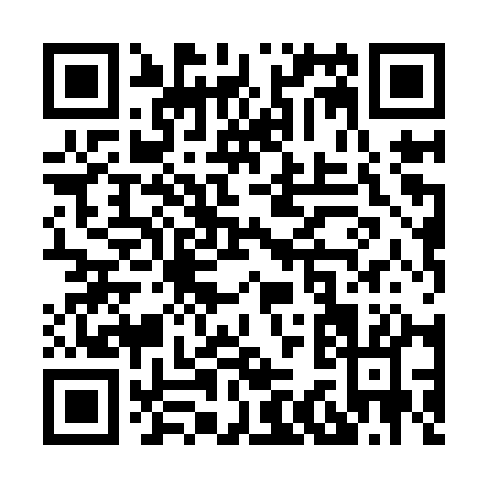 QR code for X389Q