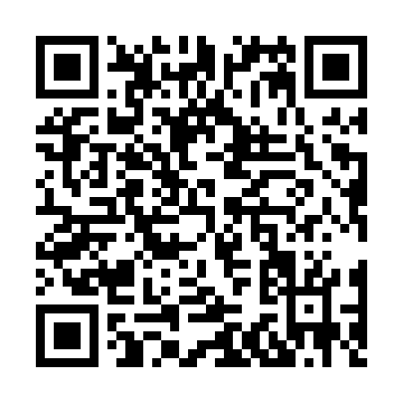 QR code for X390W