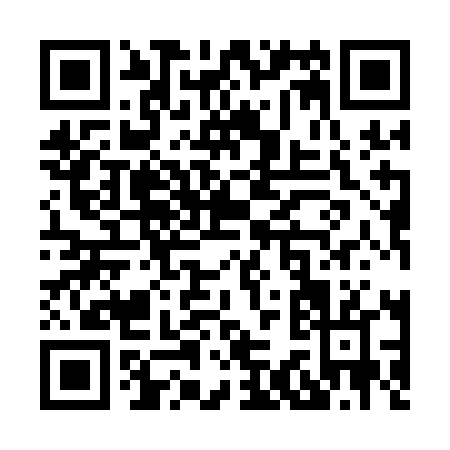 QR code for X391L