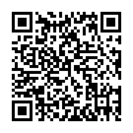 QR code for X392A