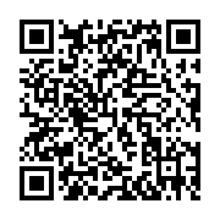 QR code for X393H
