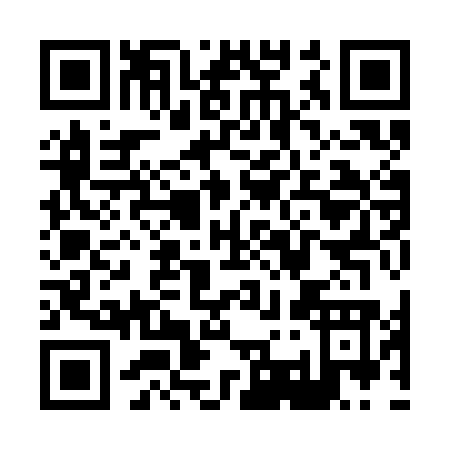 QR code for X393O