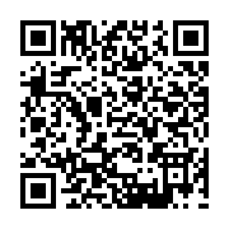 QR code for X393S