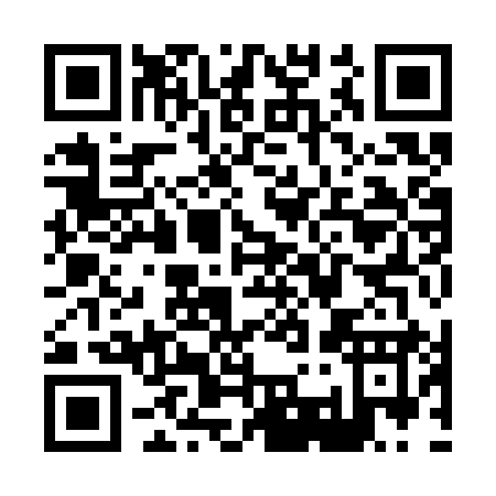 QR code for X393Y
