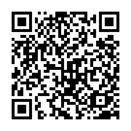 QR code for X395IQ