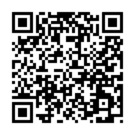 QR code for X409I
