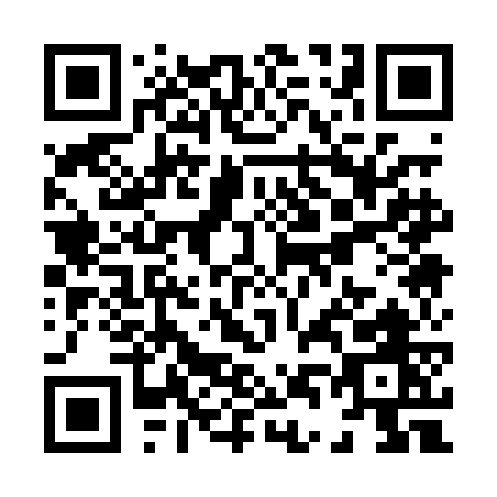 QR code for X410G