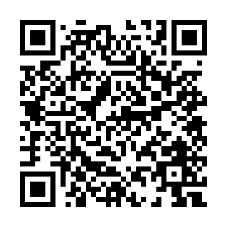 QR code for X420U